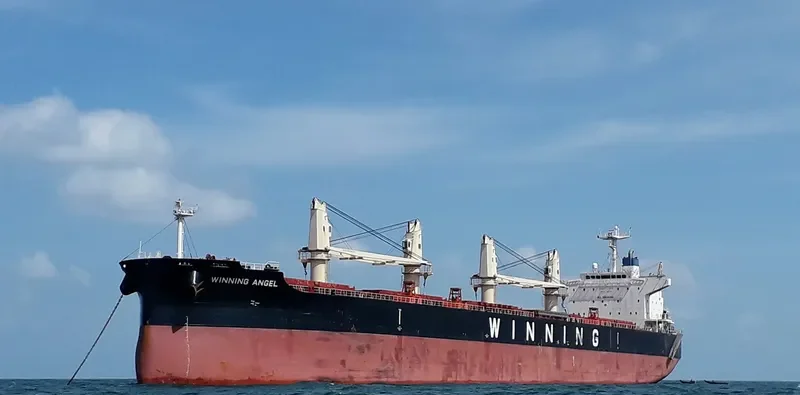 PMS STEINBOCK Bulk Carrier IMO 9617739 photo 6