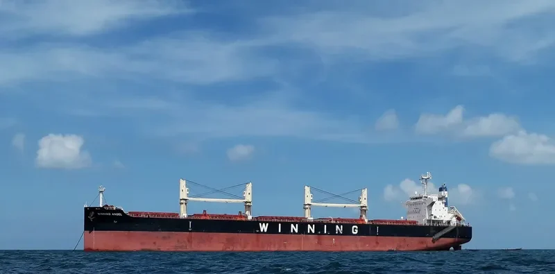 PMS STEINBOCK Bulk Carrier IMO 9617739 photo 7