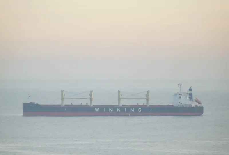 WINNING BRIGHT Bulk Carrier IMO 9617741 photo 2