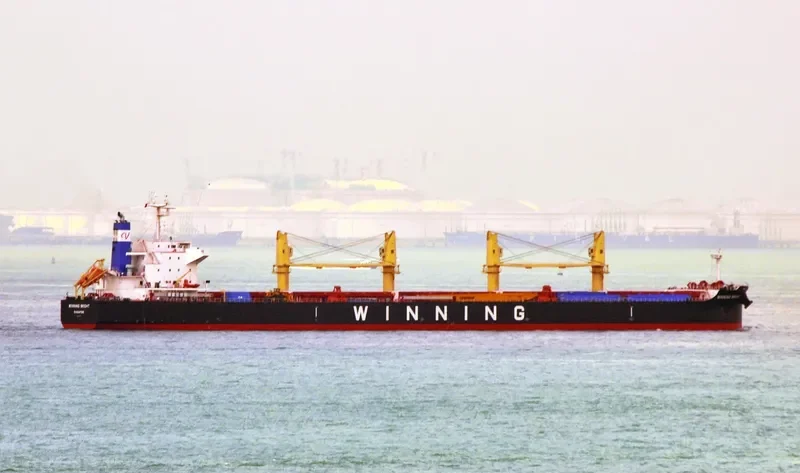 WINNING BRIGHT Bulk Carrier IMO 9617741 photo 3