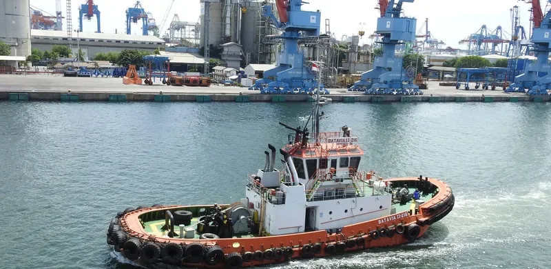 BATAVIA II 216 General Cargo IMO 9617870 photo 3
