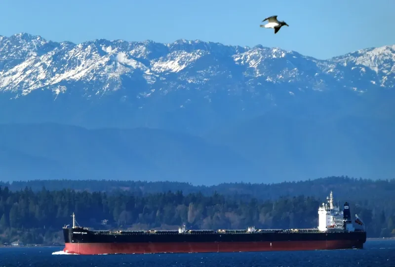 SINOCHART BEIJING Bulk Carrier IMO 9617947