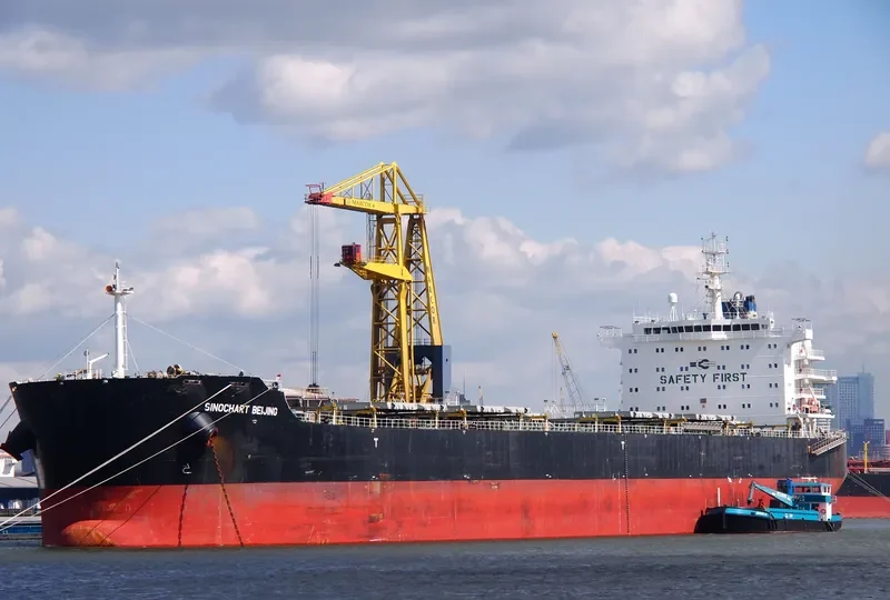 SINOCHART BEIJING Bulk Carrier IMO 9617947 photo 2