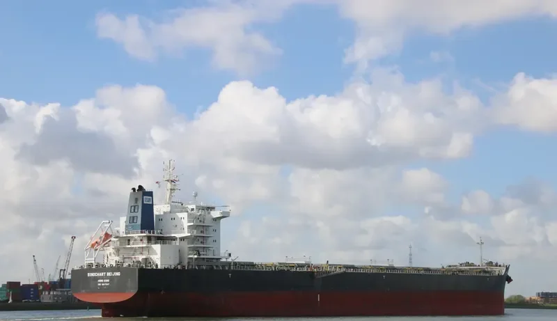 SINOCHART BEIJING Bulk Carrier IMO 9617947 photo 3