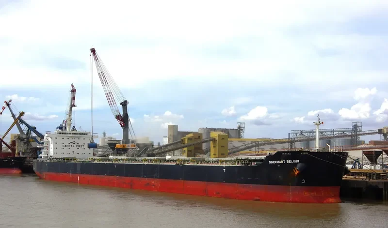SINOCHART BEIJING Bulk Carrier IMO 9617947 photo 8