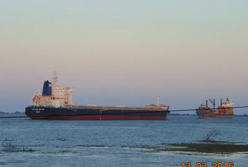 SINOCHART BEIJING Bulk Carrier IMO 9617947 photo 10