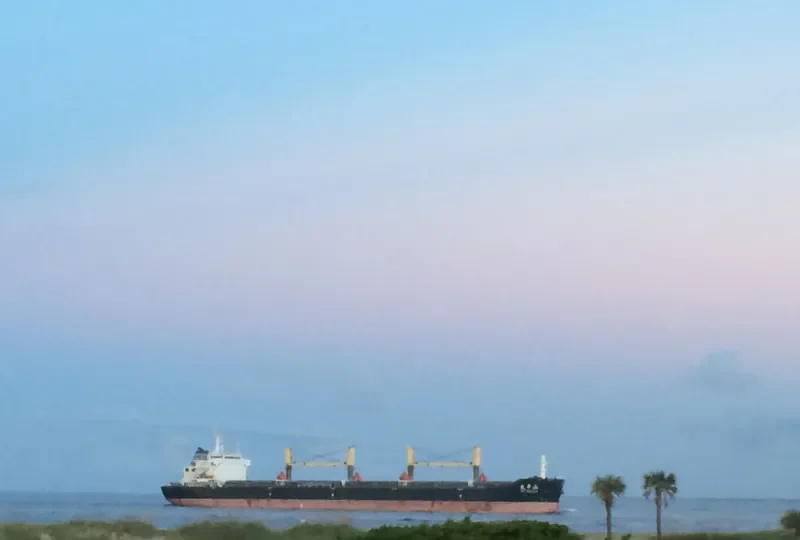 TAI PING SHAN Bulk Carrier IMO 9617961 photo 10
