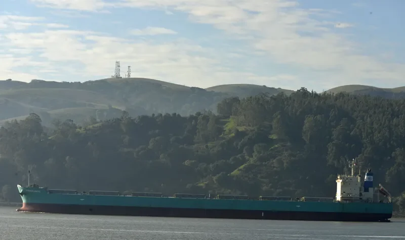 OCEAN ROAD Bulk Carrier IMO 9617997 photo 4