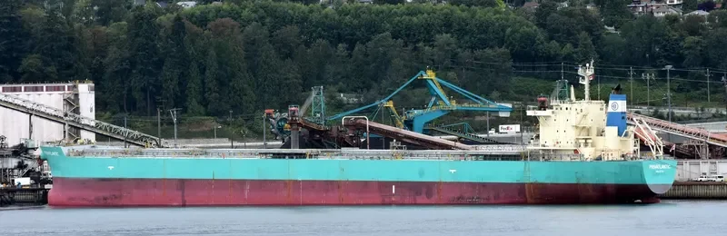 OCEAN ROAD Bulk Carrier IMO 9617997 photo 6