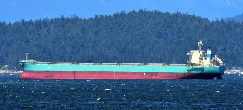 OCEAN ROAD Bulk Carrier IMO 9617997 photo 7