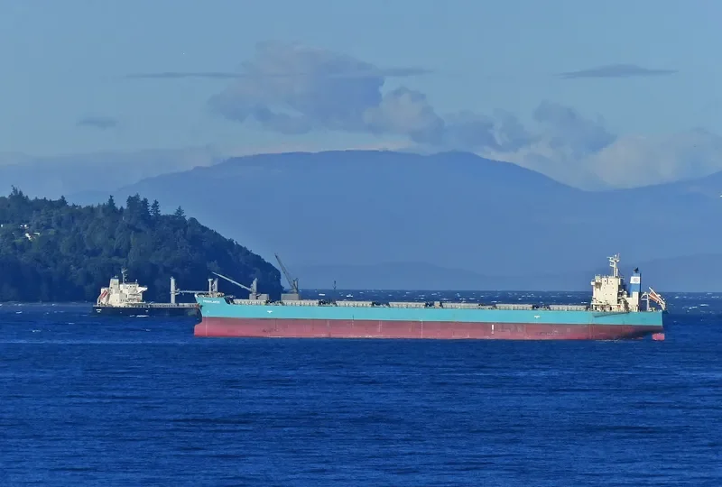 OCEAN ROAD Bulk Carrier IMO 9617997 photo 8