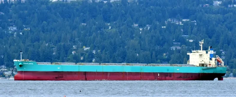 OCEAN ROAD Bulk Carrier IMO 9617997 photo 9