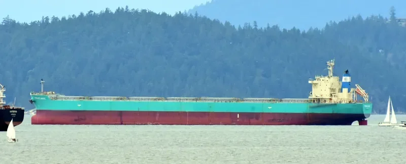 OCEAN ROAD Bulk Carrier IMO 9617997 photo 10