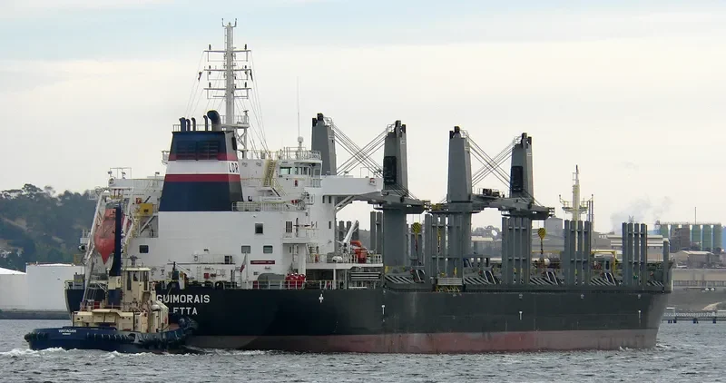 LA GUIMORAIS Bulk Carrier IMO 9618018 photo 9