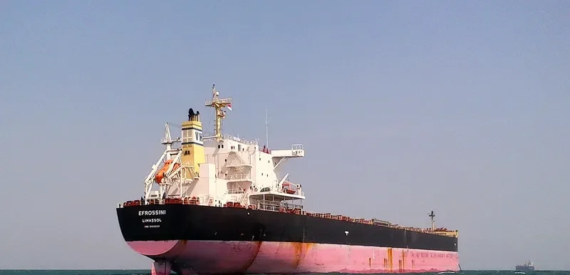 EFROSSINI Bulk Carrier IMO 9618020 photo 3