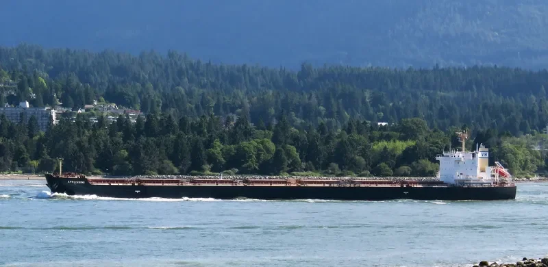 EFROSSINI Bulk Carrier IMO 9618020 photo 7