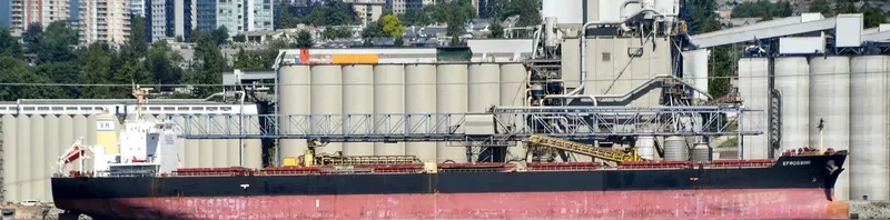 EFROSSINI Bulk Carrier IMO 9618020 photo 8