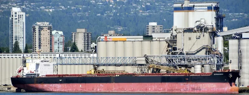 EFROSSINI Bulk Carrier IMO 9618020 photo 9