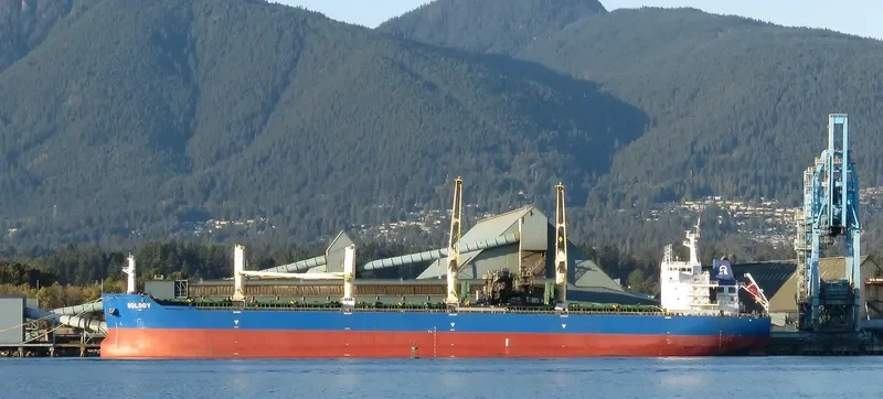 SOLDOY Bulk Carrier IMO 9618111 photo 5