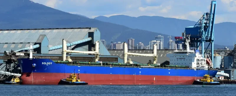 SOLDOY Bulk Carrier IMO 9618111 photo 6