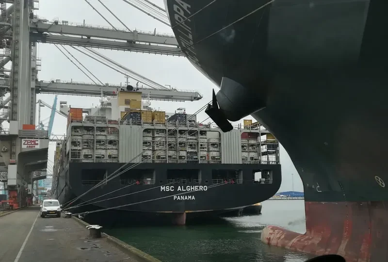 MSC ALGHERO Container Ship IMO 9618288 photo 2