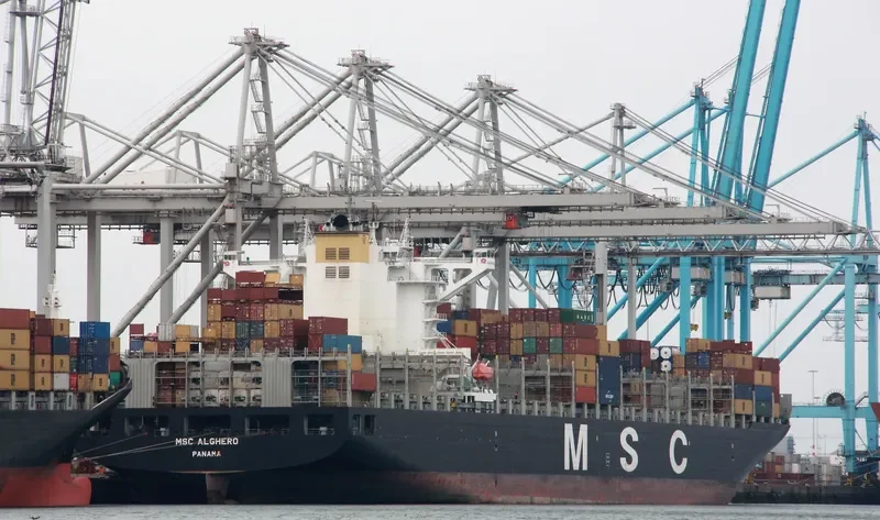 MSC ALGHERO Container Ship IMO 9618288 photo 5