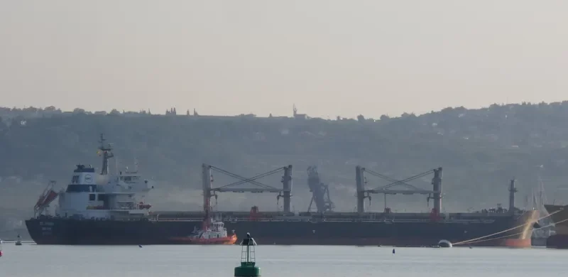 YANGTZE HARMONY Bulk Carrier IMO 9618355 photo 2
