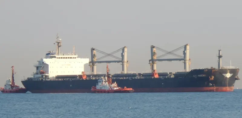 YANGTZE HARMONY Bulk Carrier IMO 9618355 photo 3