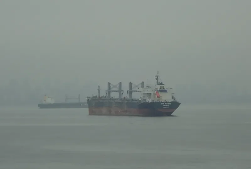 YANGTZE HARMONY Bulk Carrier IMO 9618355 photo 4