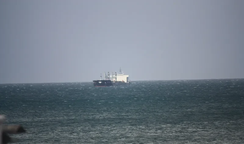 YANGTZE HARMONY Bulk Carrier IMO 9618355 photo 7