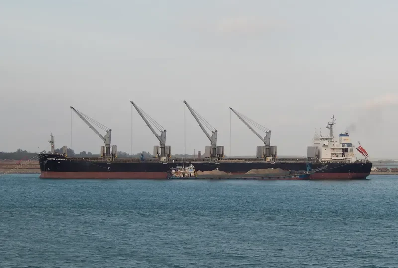 YANGTZE HARMONY Bulk Carrier IMO 9618355 photo 9