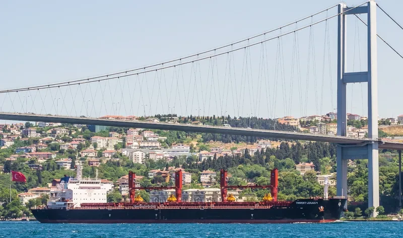 QING DAO GANG DA GANG Bulk Carrier IMO 9618513 photo 5