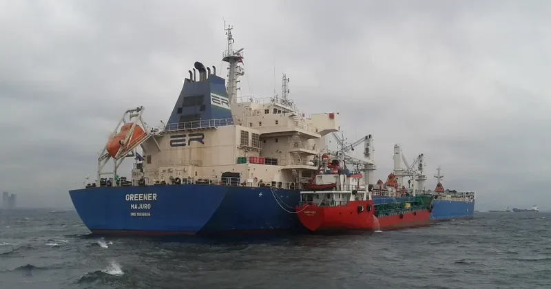 GREENER Bulk Carrier IMO 9618616
