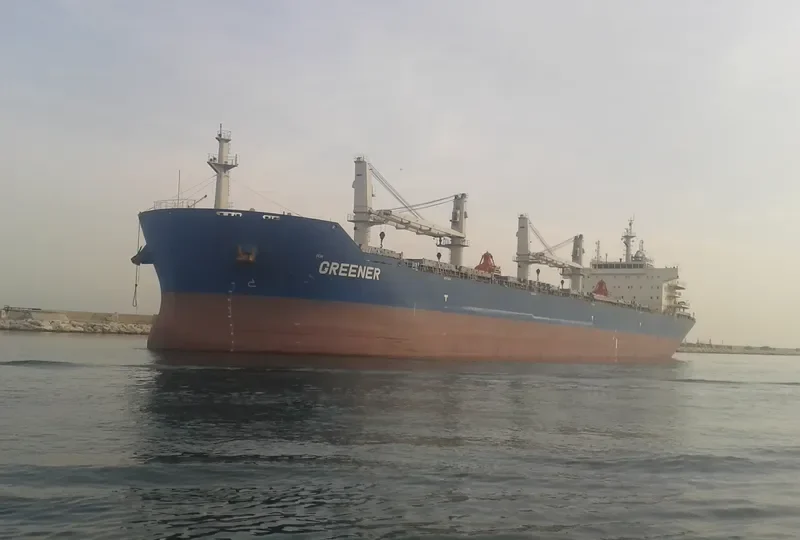 GREENER Bulk Carrier IMO 9618616 photo 4