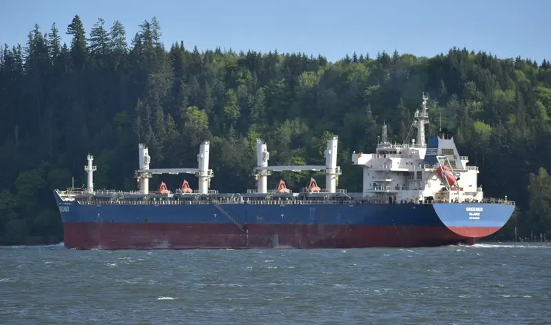 GREENER Bulk Carrier IMO 9618616 photo 5