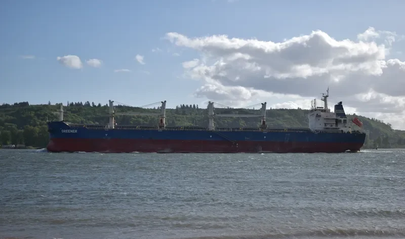 GREENER Bulk Carrier IMO 9618616 photo 6
