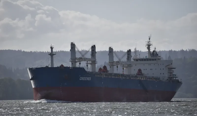 GREENER Bulk Carrier IMO 9618616 photo 7