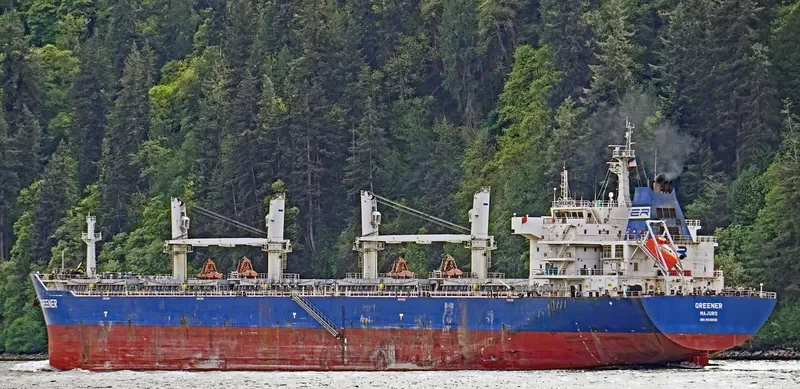 GREENER Bulk Carrier IMO 9618616 photo 8