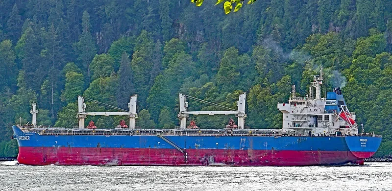 GREENER Bulk Carrier IMO 9618616 photo 9