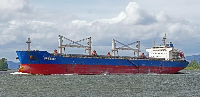 GREENER Bulk Carrier IMO 9618616 photo 10