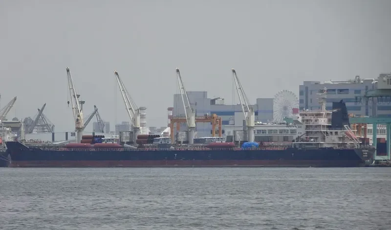YANGTZE NOVA Bulk Carrier IMO 9618630