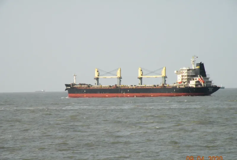 YANGTZE NOVA Bulk Carrier IMO 9618630 photo 6