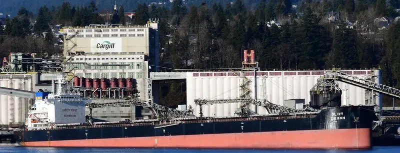 DL IVY Bulk Carrier IMO 9618678