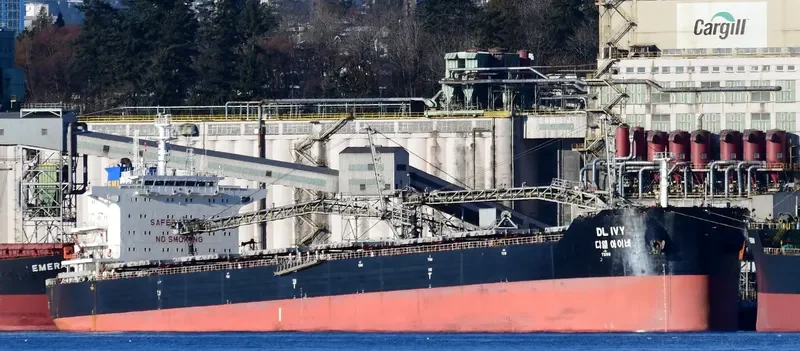 DL IVY Bulk Carrier IMO 9618678 photo 2