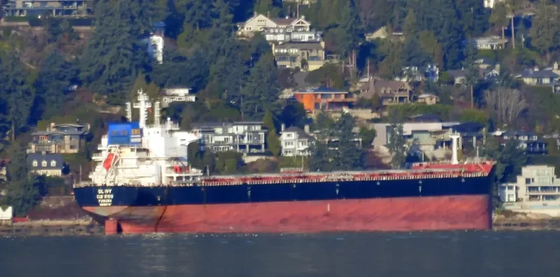 DL IVY Bulk Carrier IMO 9618678 photo 3