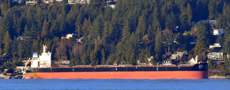 DL IVY Bulk Carrier IMO 9618678 photo 4