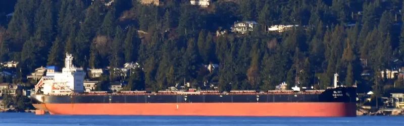 DL IVY Bulk Carrier IMO 9618678 photo 5