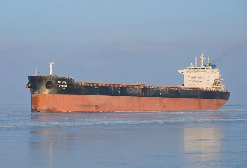 DL IVY Bulk Carrier IMO 9618678 photo 6