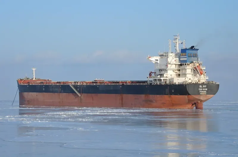 DL IVY Bulk Carrier IMO 9618678 photo 7