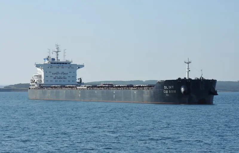 DL IVY Bulk Carrier IMO 9618678 photo 8